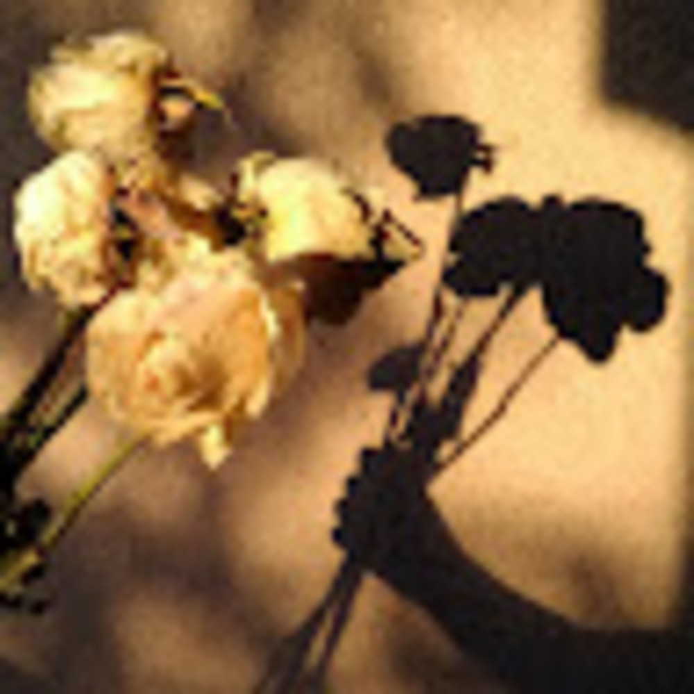 Meet your Posher, Qrrs